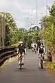 朝の通勤（ニュージーランド、en:Northwestern Cycleway）