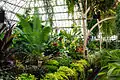 クライストチャーチ植物園の温室(クライストチャーチ)
