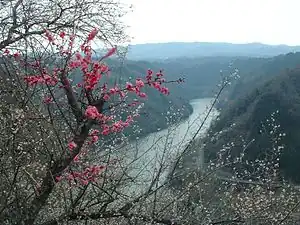 名張川 2005年3月撮影
