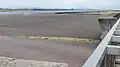 西広場（パドック）