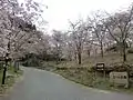 8.苗木さくら公園
