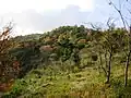 長峰山中腹から見た長峰山(2008年11月)