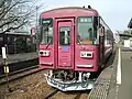前面ステップがある303号車 2009年11月1日(関駅)