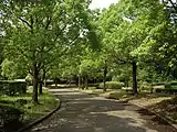 流山市総合運動公園