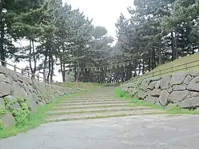 長崎街道・曲里の松並木