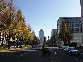 画像左側が永田町一丁目、右側が永田町二丁目である(参議院通用門前交差点)