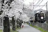 長瀞(埼玉県長瀞町)