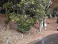 長塚古墳