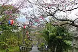 名護城公園(沖縄県名護市)