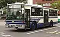 その他路線（白）