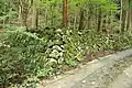 旧作門寺跡地
