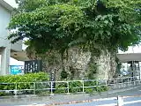 戦前から現存する仲島の大石（2008年9月）