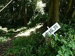 中城