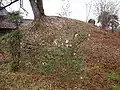 隣接する中野古墳