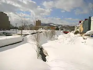 中の沢川 2005年3月6日撮影
