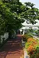 堂島川左岸線堂島大橋~上船津橋