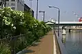 堂島川左岸線渡辺橋~田蓑橋