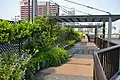 堂島川左岸線田蓑橋~玉江橋