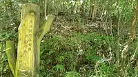 中山の森（東公園）