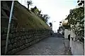 途中から頂上を望む