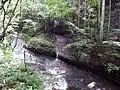熊の爪付近遠景