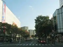 並木通りの様子