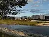 蓼川