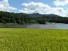 水旨面の水松池