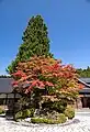 秋の本坊前