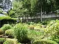 庭園