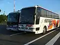 早朝の双葉SAに休憩する夜行バス(左)伊予鉄バス オレンジライナーえひめ号(右)南海バスウィング南部ドリーム和歌山号当SAは、多くの高速バスが休憩箇所に指定されている。
