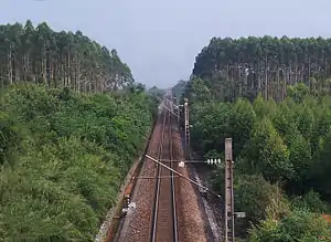 広西チワン族自治区隆安県