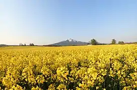 鰺ヶ沢町建石から見た岩木山(北北東)