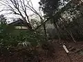 裏の吉城川畔より離れの暗室に向かう登り