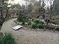 茶花の庭