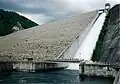 試験放流