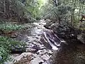 渓流