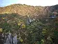 鳴子峡鉄橋を渡る普通列車（2011年10月）