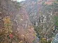 紅葉の様子（2005年11月）