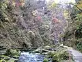 鳴子峡遊歩道から眺めた紅葉（2005年11月）