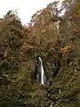 不老滝（鳴子峡遊歩道の途中）（2005年11月）