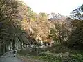 鳴子峡遊歩道から眺めた紅葉（2005年11月）
