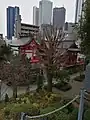 富士塚の頂上より望む(2023年2月)