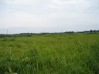 成東・東金食虫植物群落