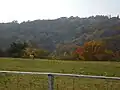 王国ファームから王国タウンを望む。