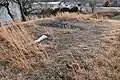後方部墳頂
