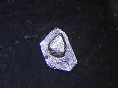 北海道産の砂白金(自然オスミウム。銀色の2つの結晶が川底で打ち合わされて融着しています。