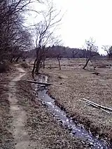 宍塚の里山