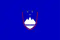 ?海軍用国籍旗1995年-1996年