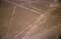 オウム